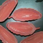 ArtyCera Ceramic Serving Platters, 11 inches, Pink Glossy Finish, Ideal for Gifting and Personal Use, Microwave Safe - Image 3
